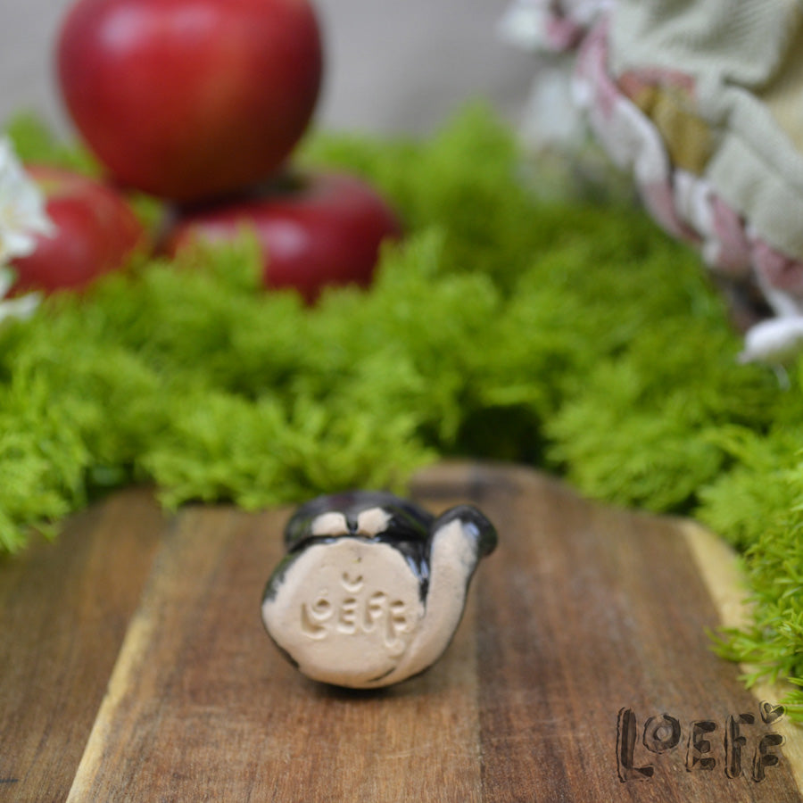 Tiny Black Cat with Apple