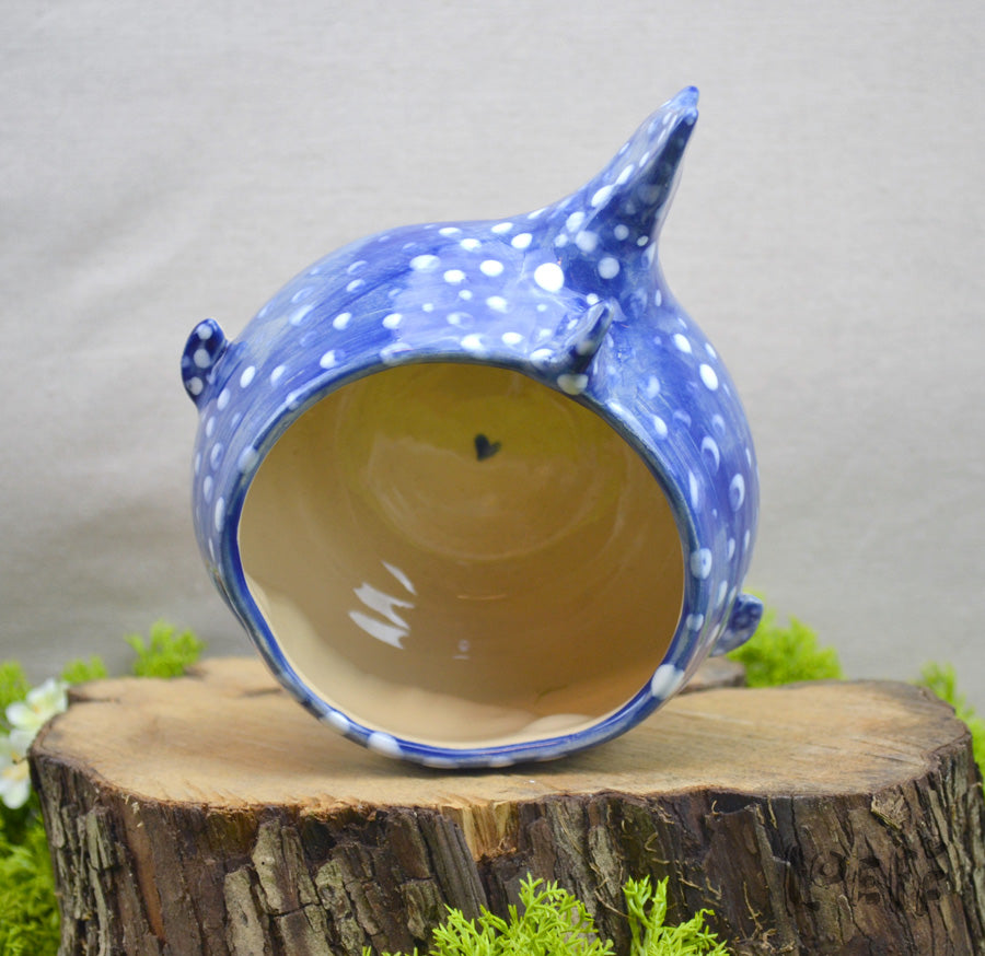 Planter Whale Shark