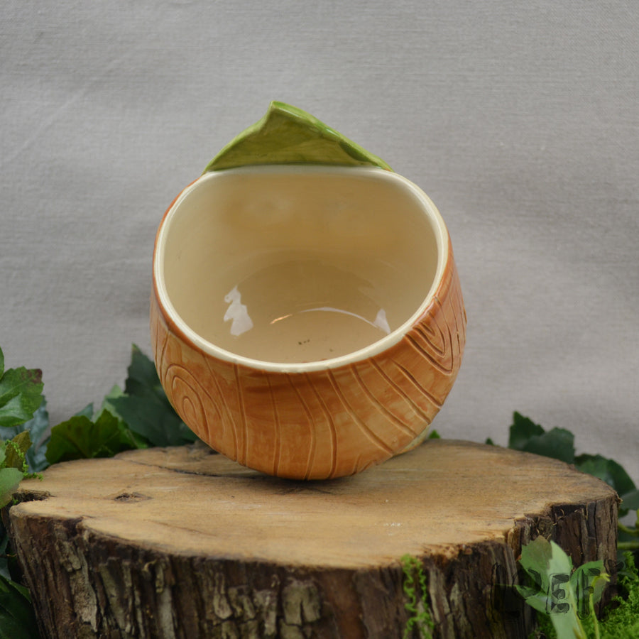 Planter Leaf Friend