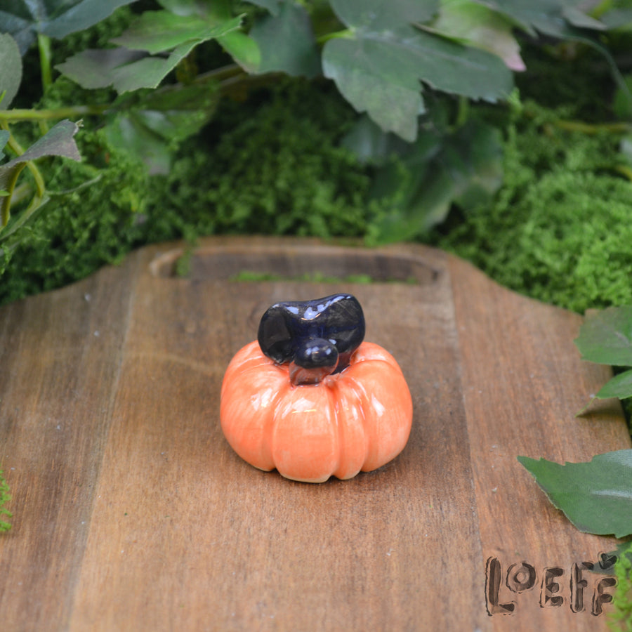 Tiny Kitty in Pumpkin 1