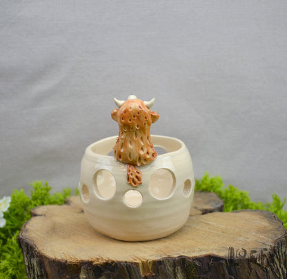 Marshmallow Light Highland Cow