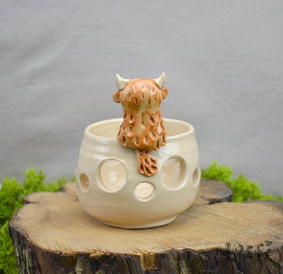 Marshmallow Light Highland Cow 2