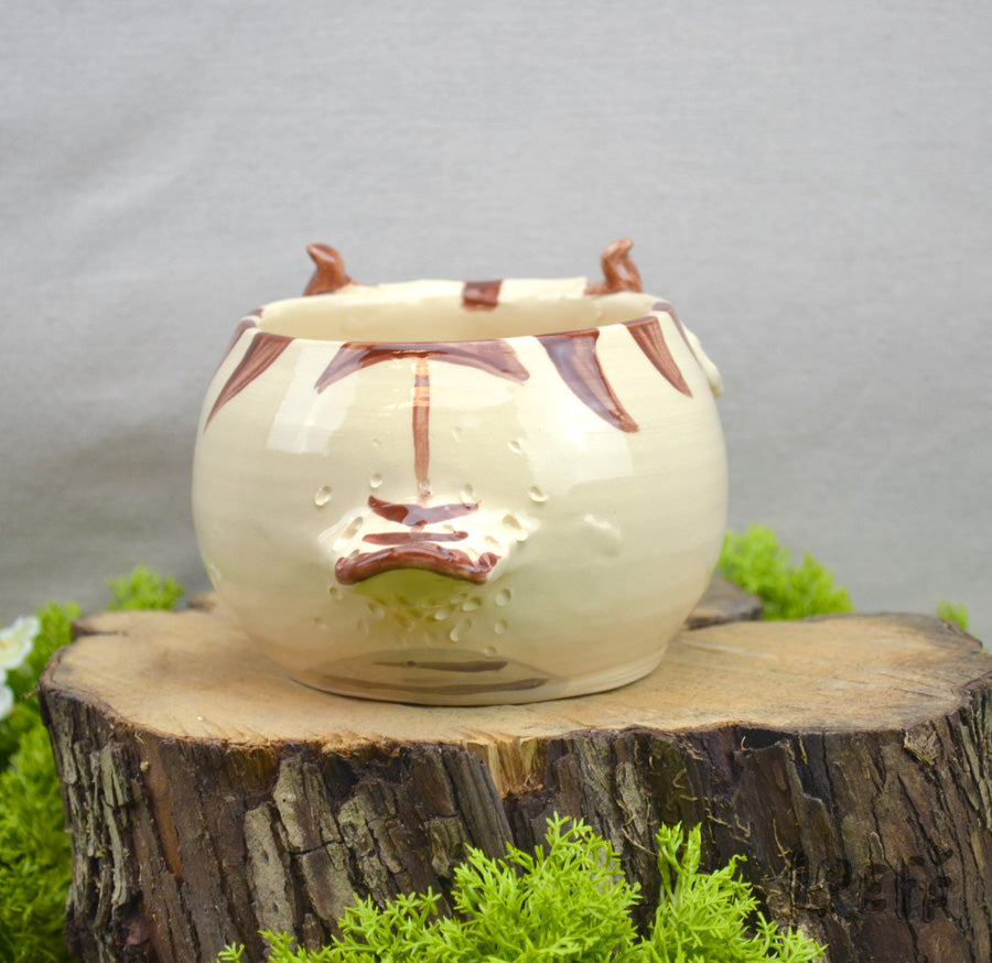 Planter Air Bison Pink Cheeks