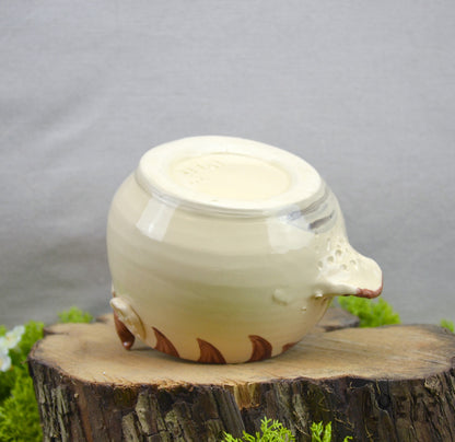 Planter Air Bison Pink Cheeks