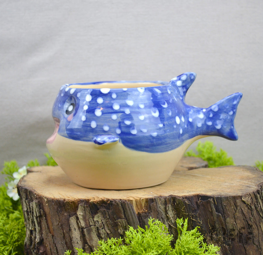 Planter Whale Shark