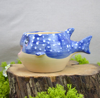 Planter Whale Shark