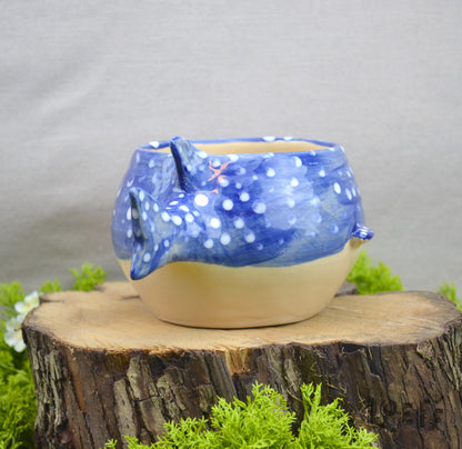 Planter Whale Shark
