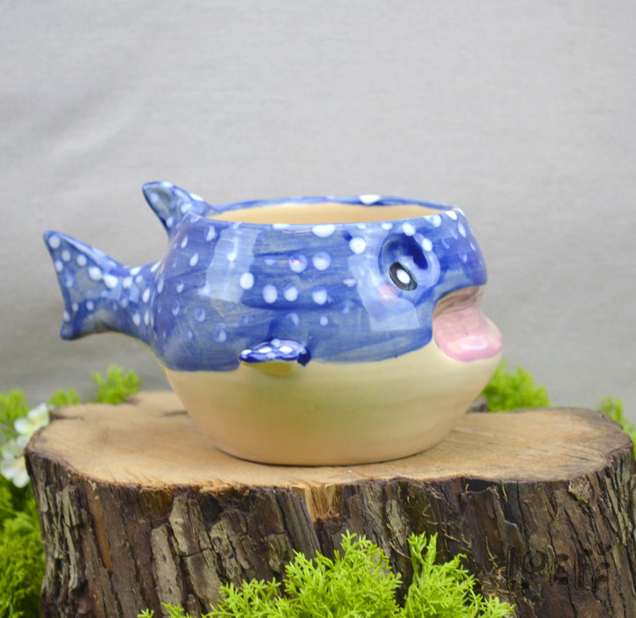 Planter Whale Shark