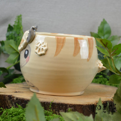 Planter Bison 1