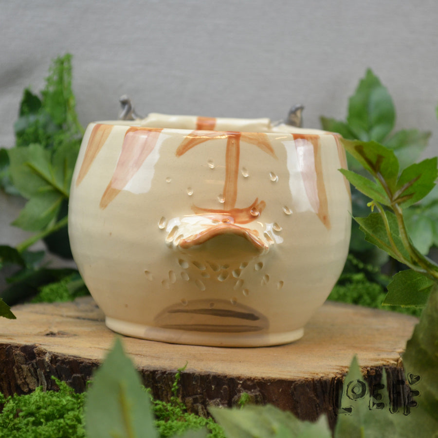 Planter Bison 1
