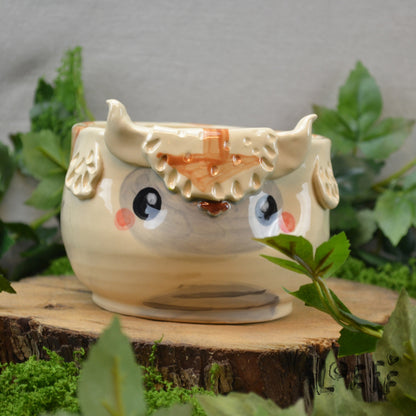 Planter Bison 3
