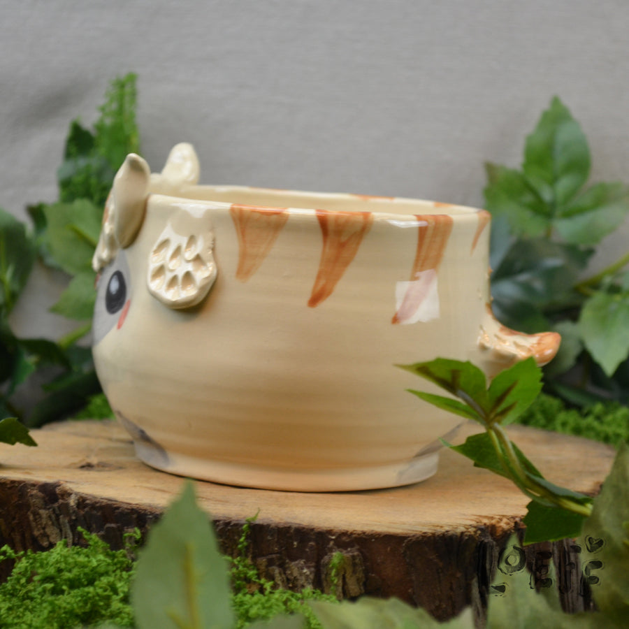 Planter Bison 3