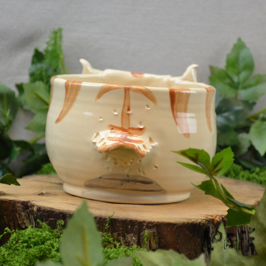 Planter Bison 3