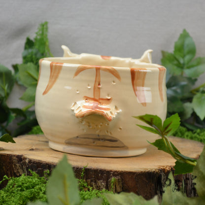 Planter Bison 3