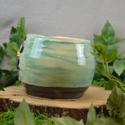 Planter Cafe Bird