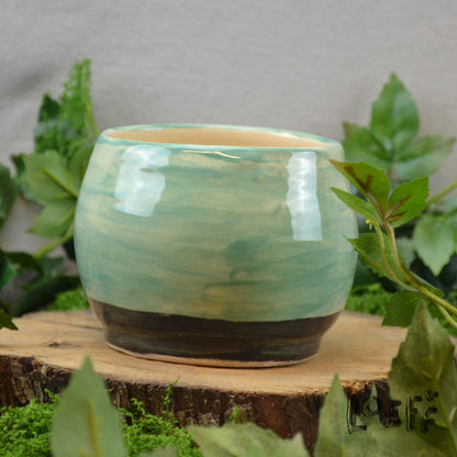 Planter Cafe Bird
