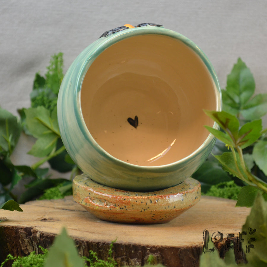 Planter Cafe Bird