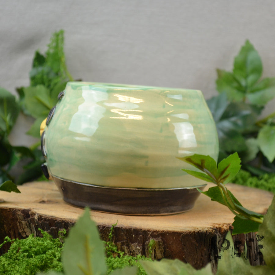 Planter Cafe Bird 2