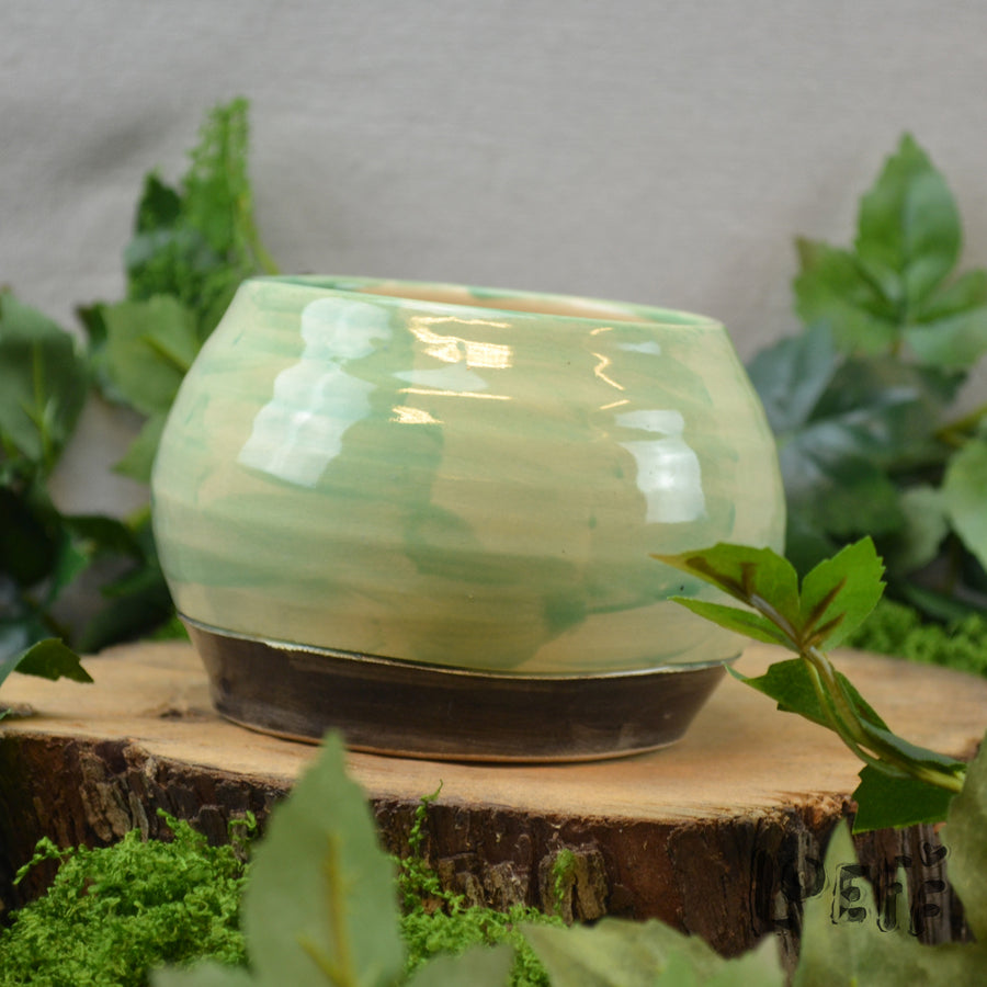 Planter Cafe Bird 2