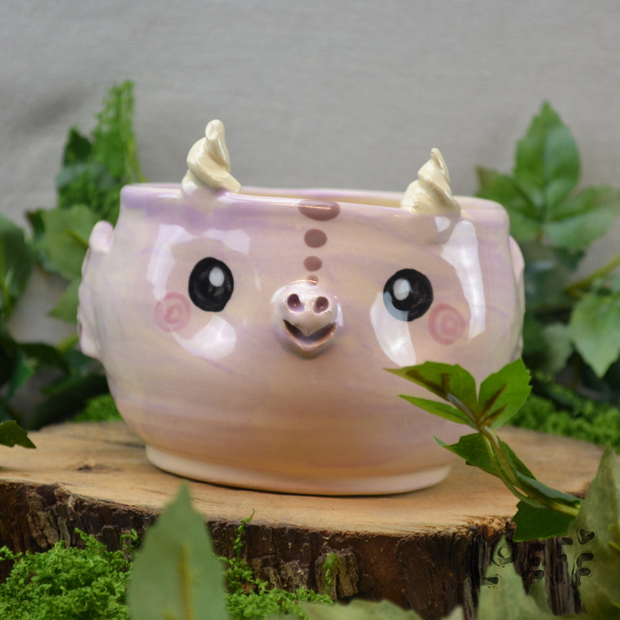 Planter Dragon Pink