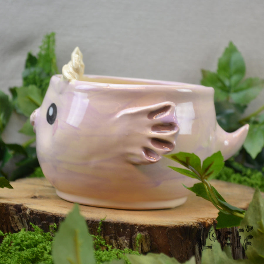 Planter Dragon Pink