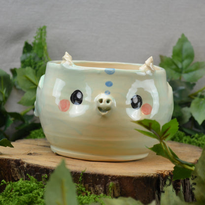 Planter Dragon Sage
