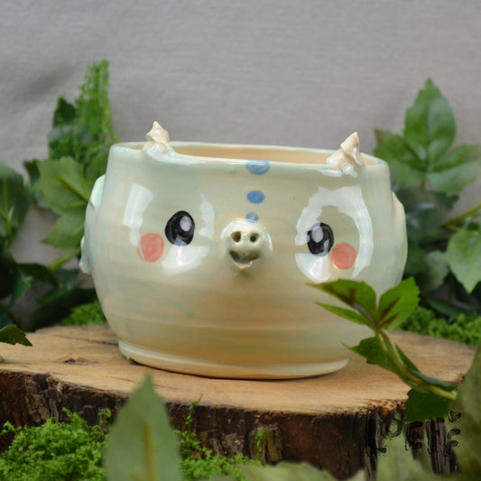 Planter Dragon Sage