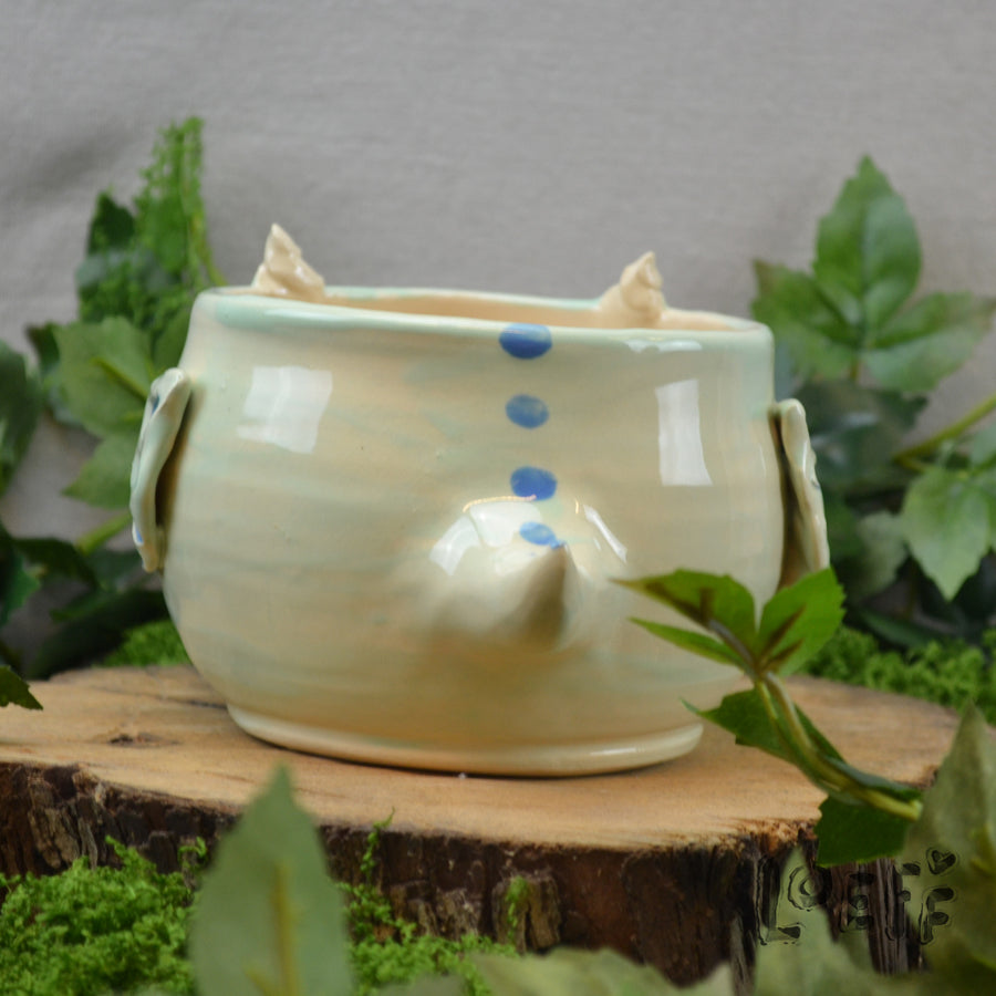 Planter Dragon Sage