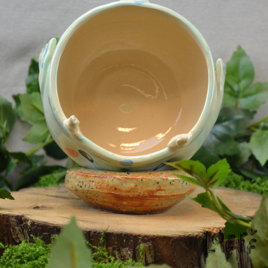 Planter Dragon Sage