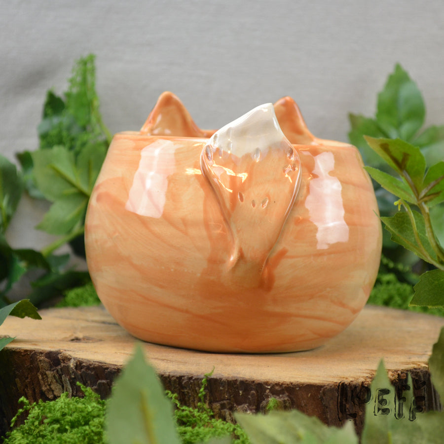 Planter Fox