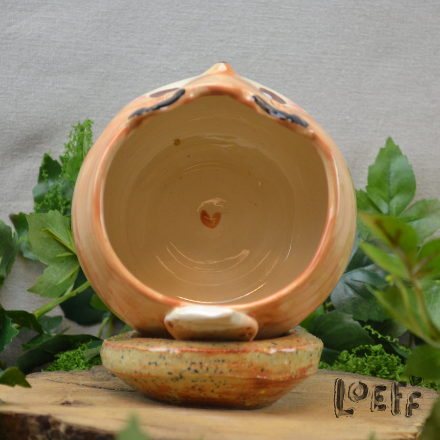 Planter Fox