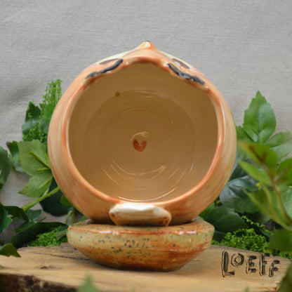 Planter Fox