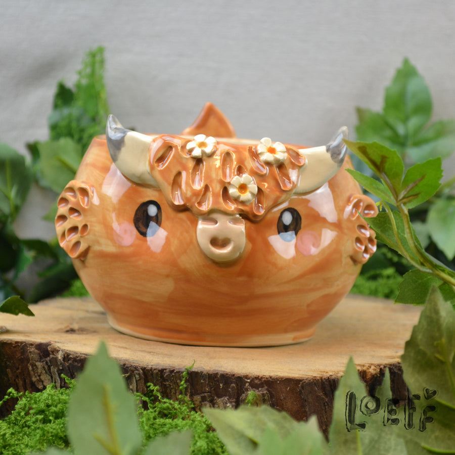 Planter Highland Cow 1