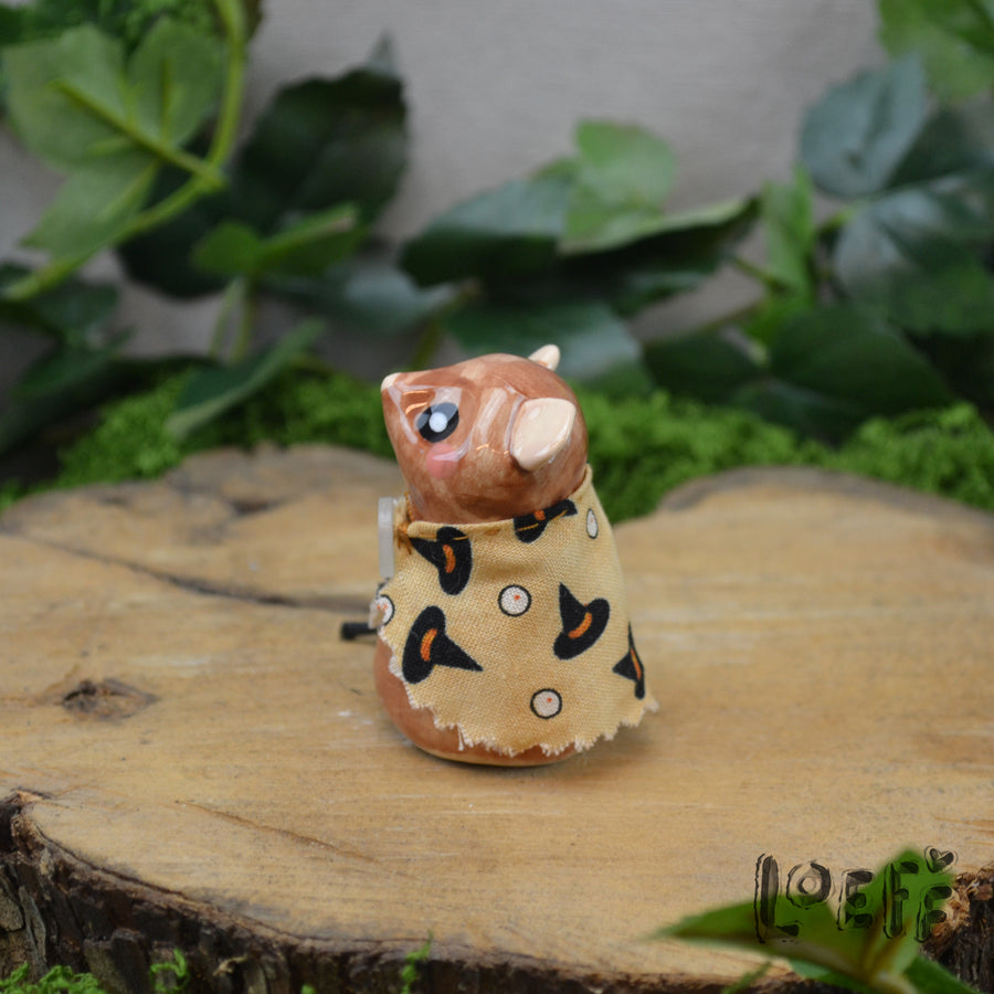 Tiny Mouse with Cape Brown