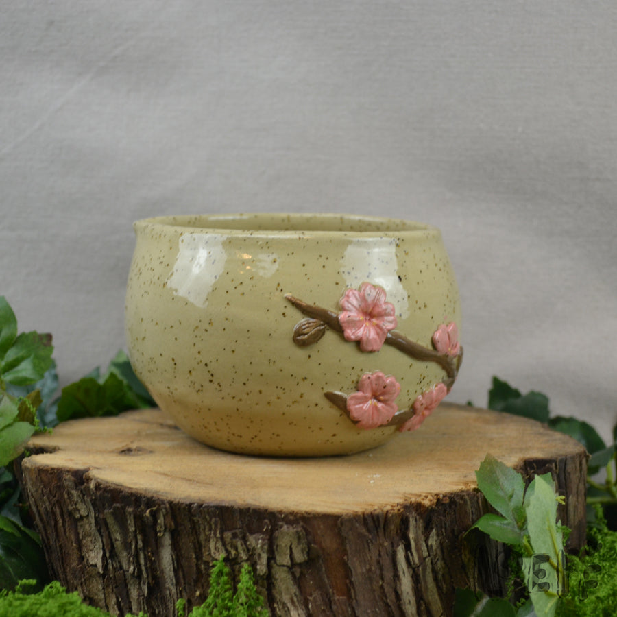 Matcha Bowl Sakura