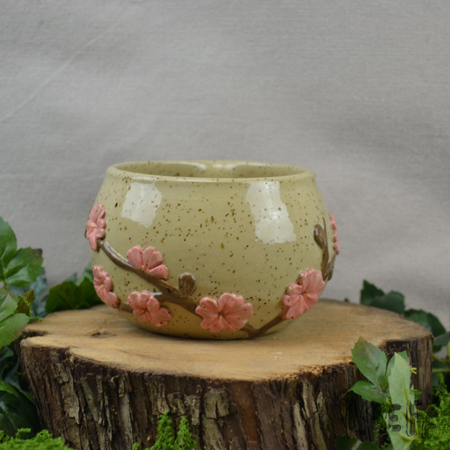 Matcha Bowl Sakura