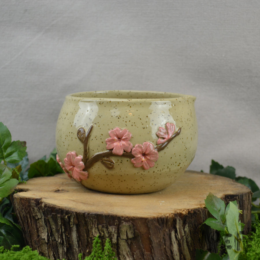 Matcha Bowl Sakura