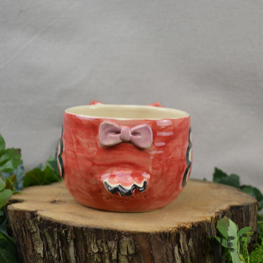 Planter Stargazer