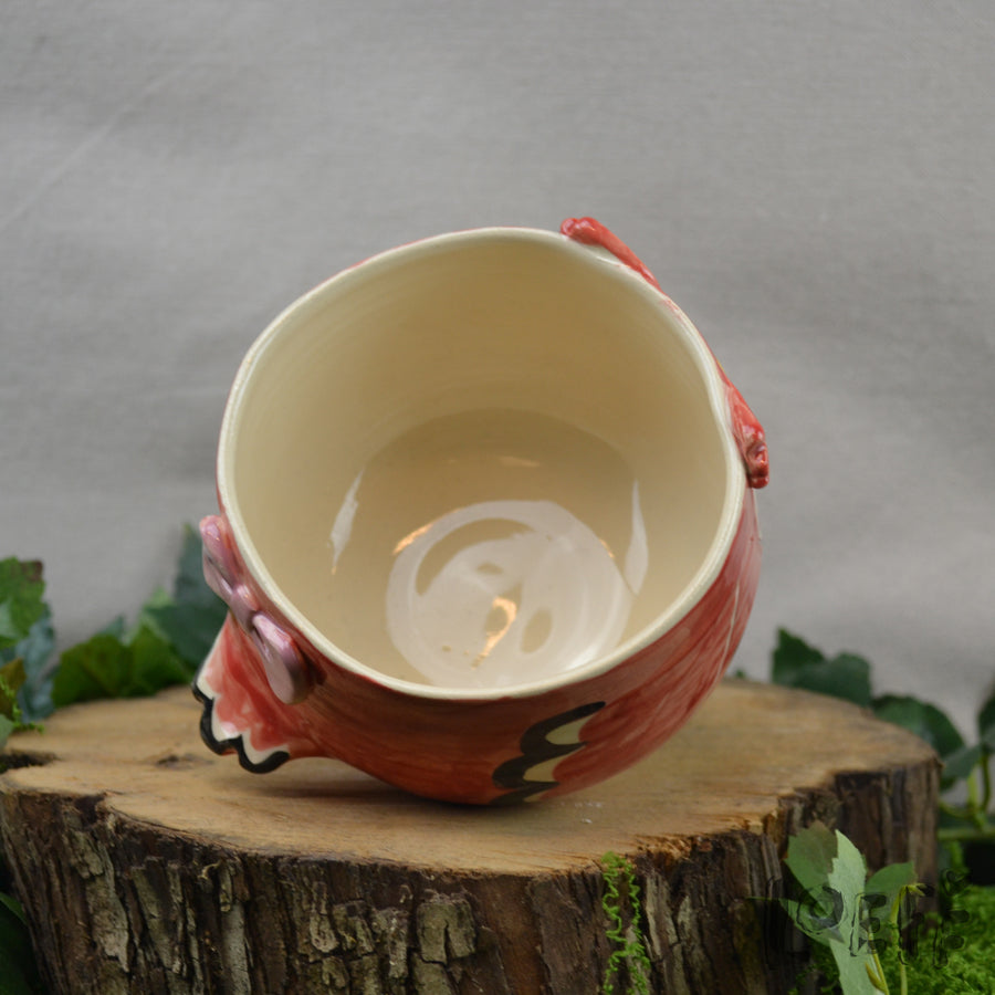 Planter Stargazer