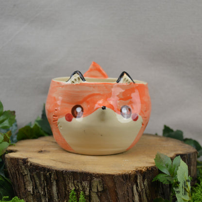 Planter Fox