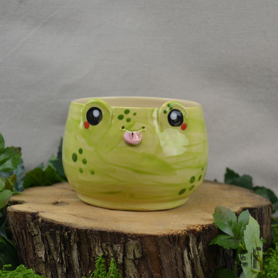 Planter Frog
