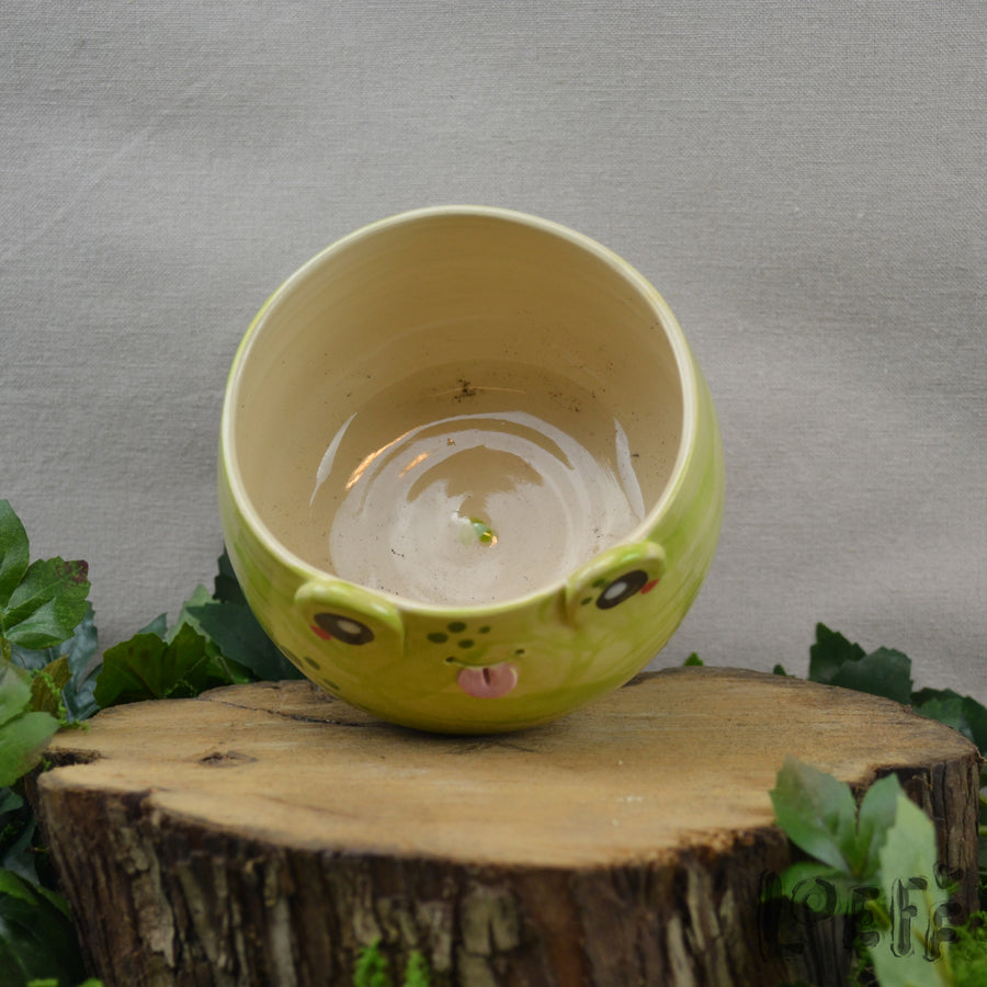 Planter Frog
