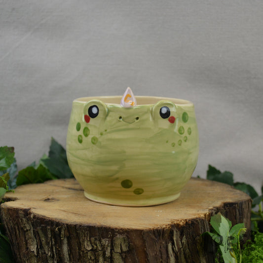 Planter Frog Wizard