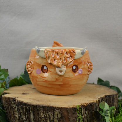 Planter Highland Cow