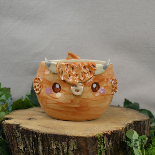 Planter Highland Cow