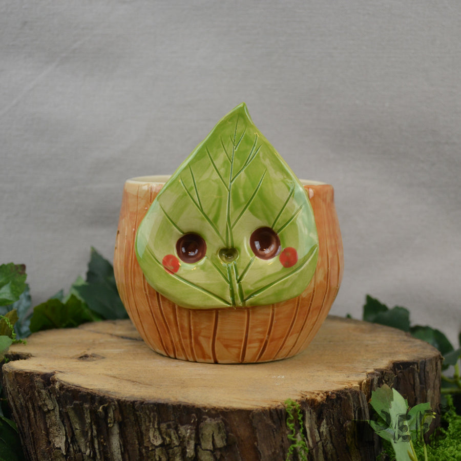 Planter Leaf Friend