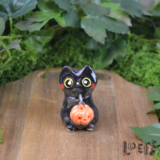 Tiny Black Cat with Jack o' Lantern