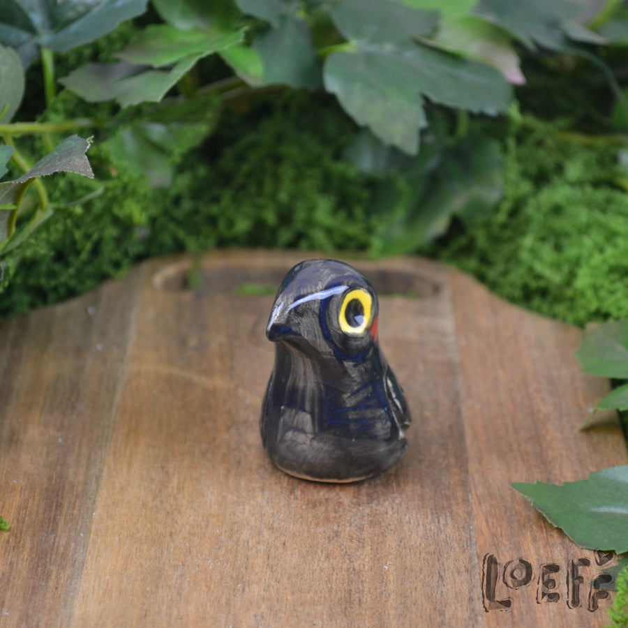 Tiny Crow