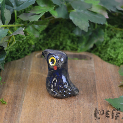 Tiny Crow