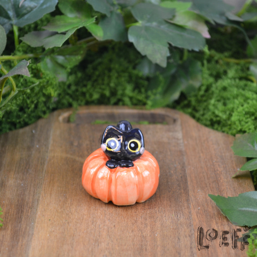 Tiny Kitty in Pumpkin 1